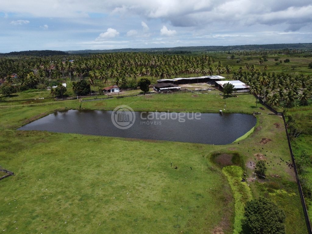 Área á venda em nisia floresta - foto 10