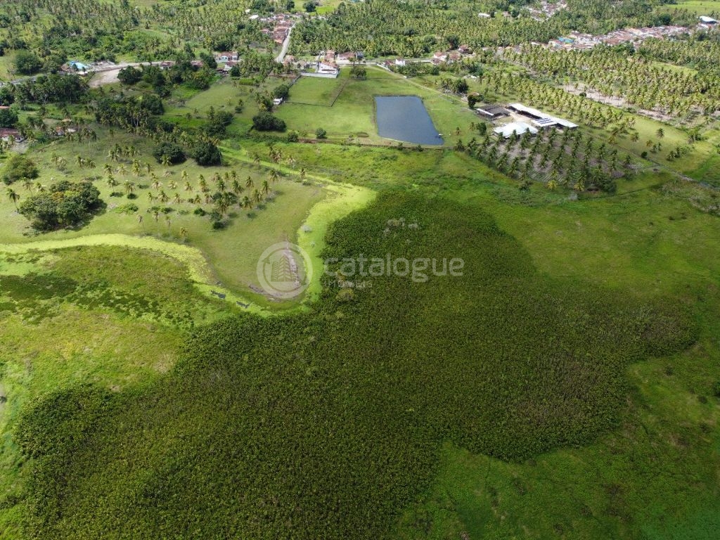 Área á venda em nisia floresta - foto 6