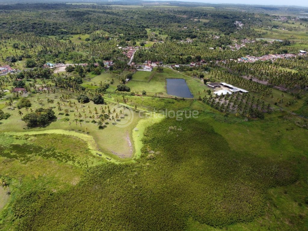Área á venda em nisia floresta - foto 7