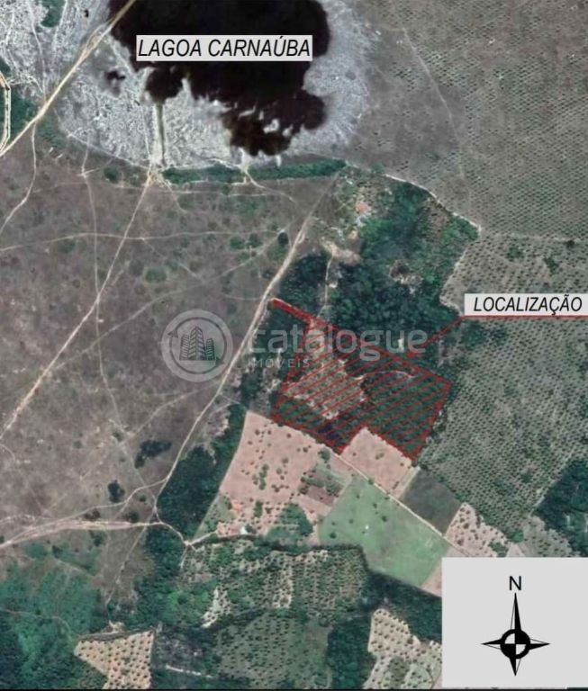 Area com 6 hectares a venda - nisia floresta