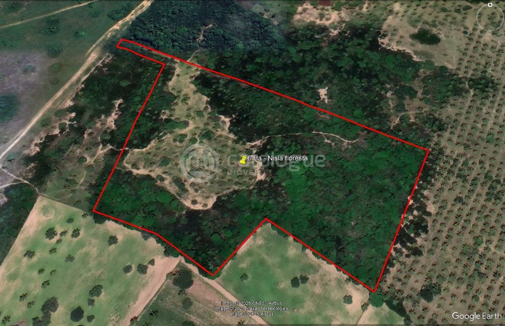 Area com 6 hectares a venda - nisia floresta