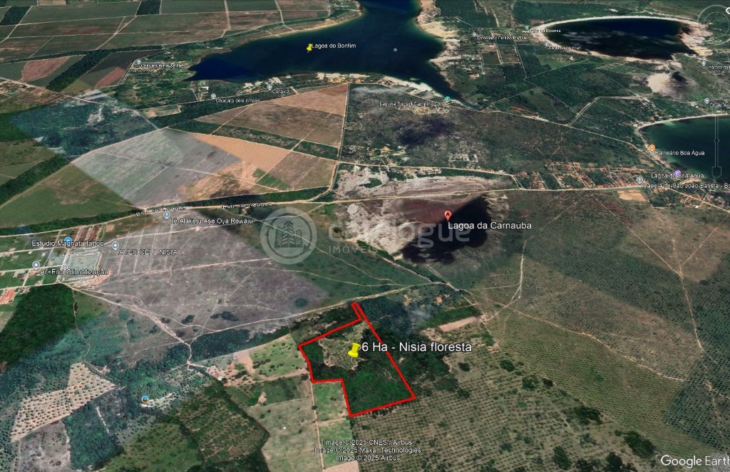 Area com 6 hectares a venda - nisia floresta