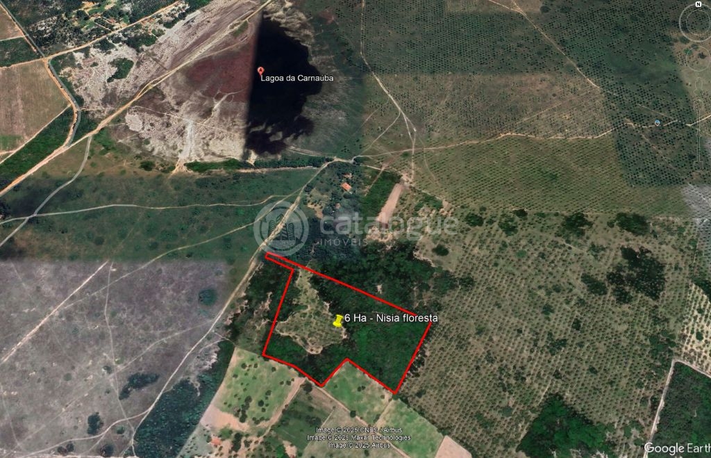 Area com 6 hectares a venda - nisia floresta