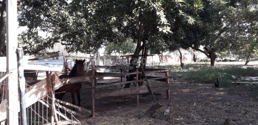 Chacara a venda em são josé de mipibu - BR 101