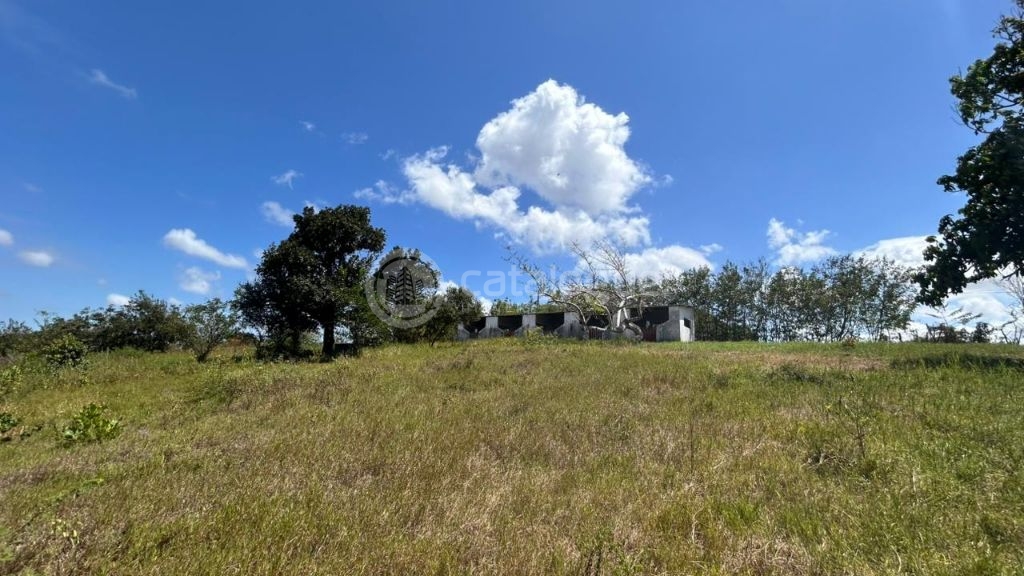 Chacara a venda completa e produtiva em Sao jose de mipibu