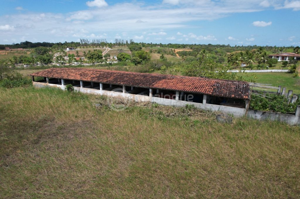 Chacara a venda completa e produtiva em Sao jose de mipibu