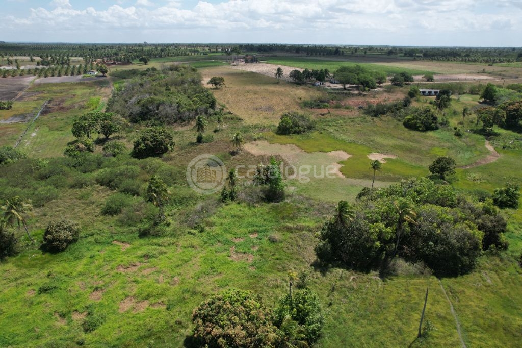 Chacara a venda completa e produtiva em Sao jose de mipibu