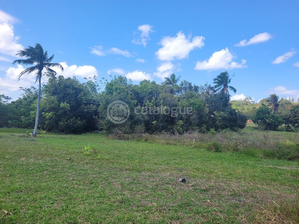 Chacara a venda completa e produtiva em Sao jose de mipibu
