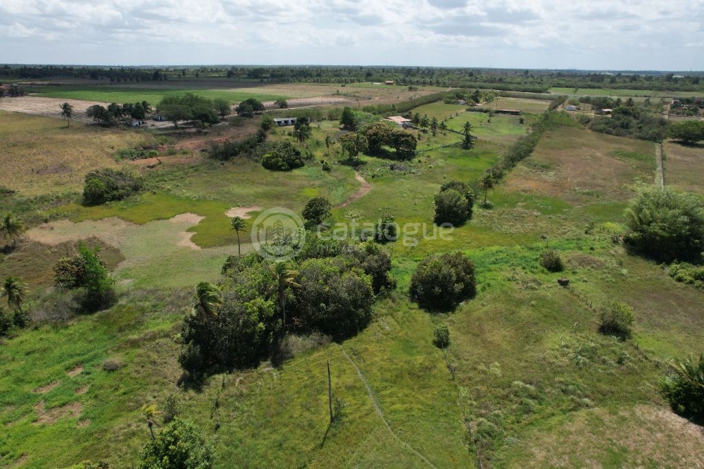 Chacara a venda completa e produtiva em Sao jose de mipibu