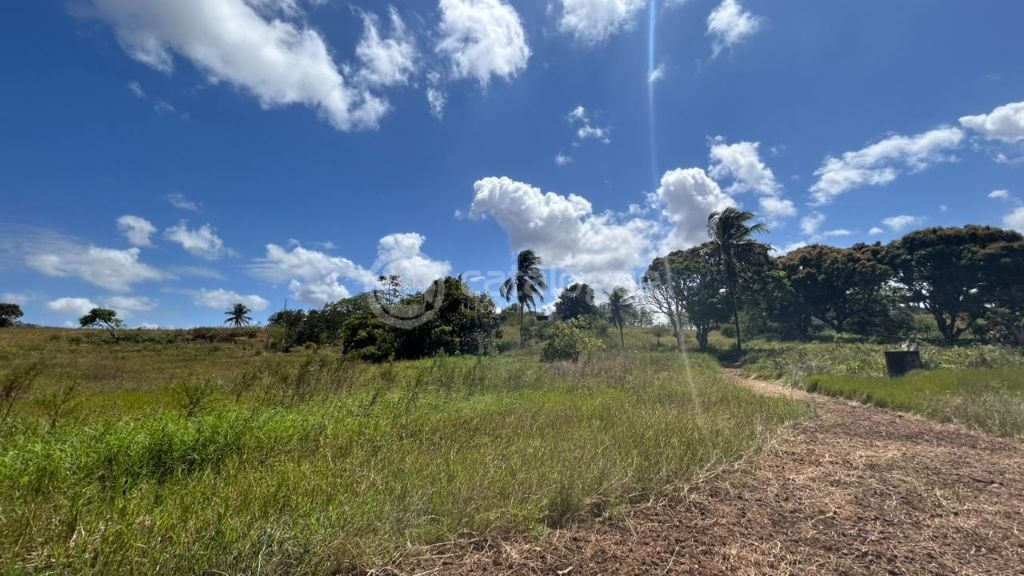 Chacara a venda completa e produtiva em Sao jose de mipibu