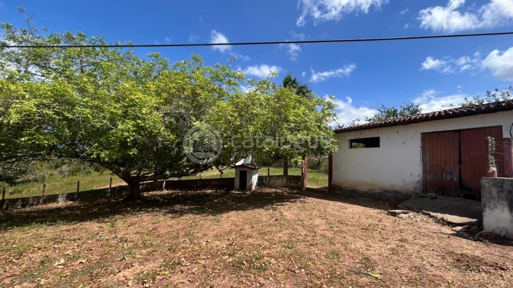 Chacara a venda completa e produtiva em Sao jose de mipibu