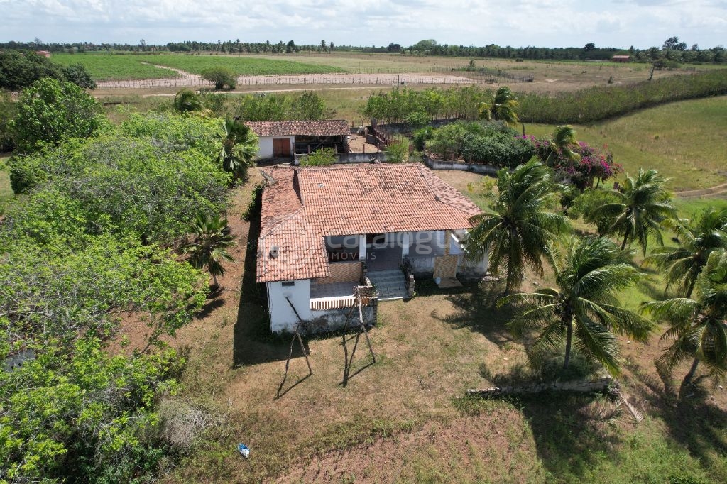 Chacara a venda completa e produtiva em Sao jose de mipibu