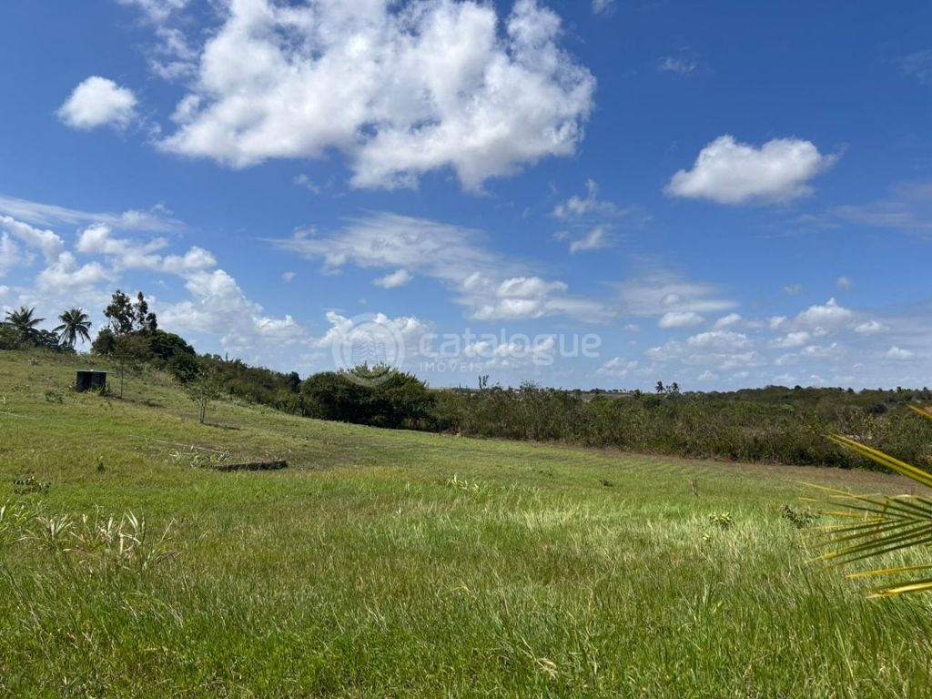 Chacara a venda completa e produtiva em sao jose de mipibu