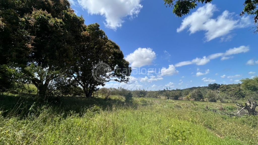 Chacara a venda completa e produtiva em Sao jose de mipibu
