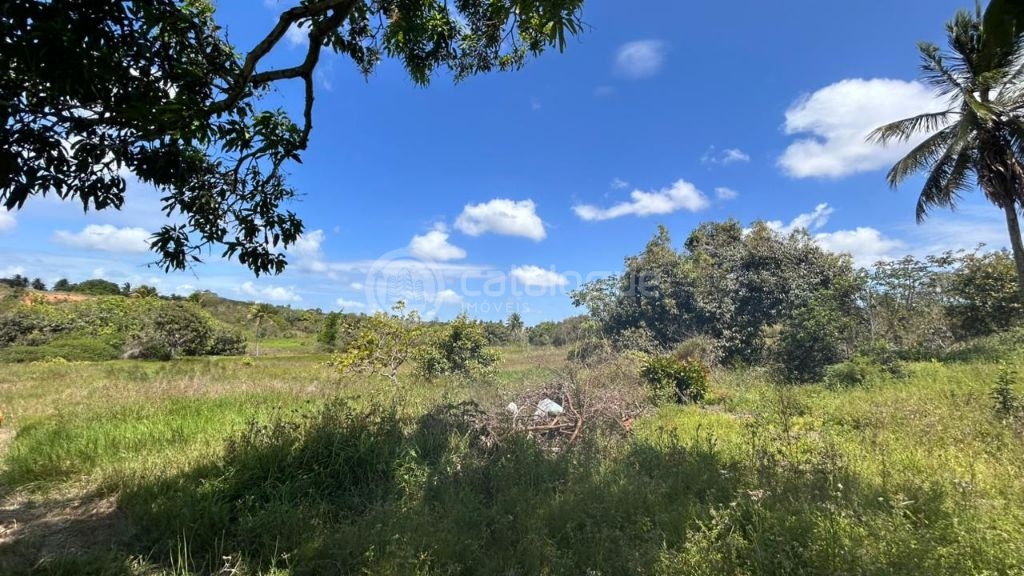 Chacara a venda completa e produtiva em Sao jose de mipibu