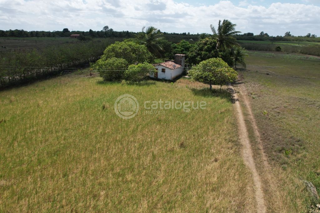 Chacara a venda completa e produtiva em sao jose de mipibu