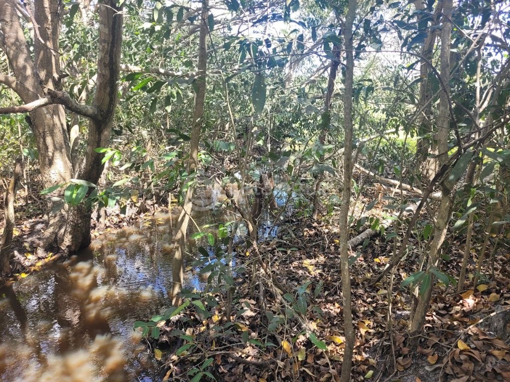 Chacara a venda completa e produtiva em Sao jose de mipibu