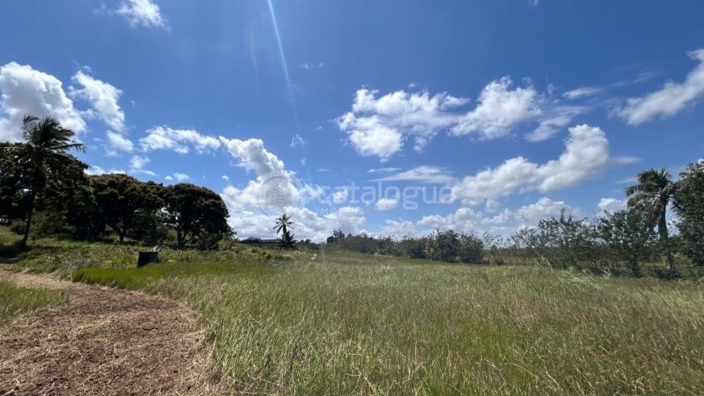 Chacara a venda completa e produtiva em Sao jose de mipibu