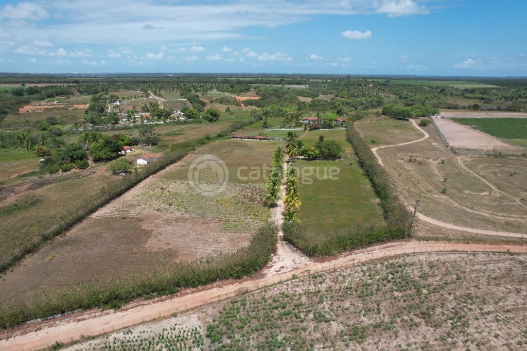 Chacara a venda completa e produtiva em sao jose de mipibu