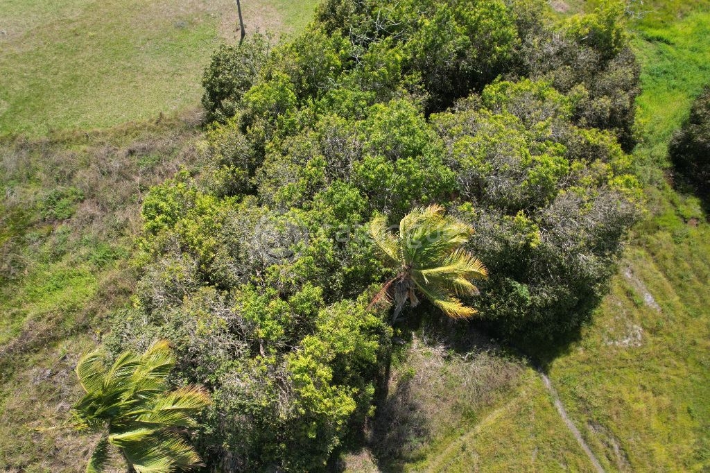 Chacara a venda completa e produtiva em Sao jose de mipibu