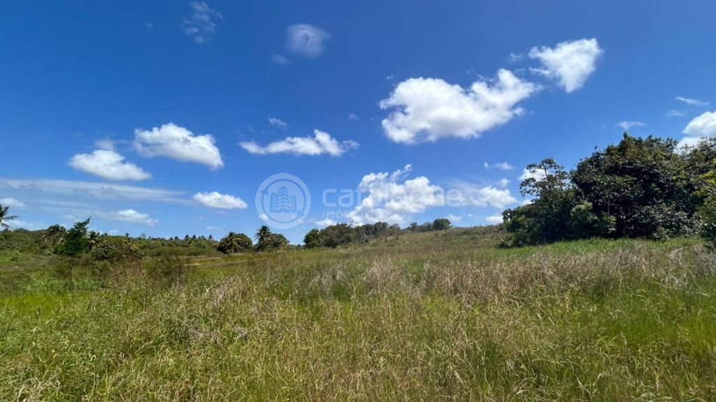 Chacara a venda completa e produtiva em Sao jose de mipibu