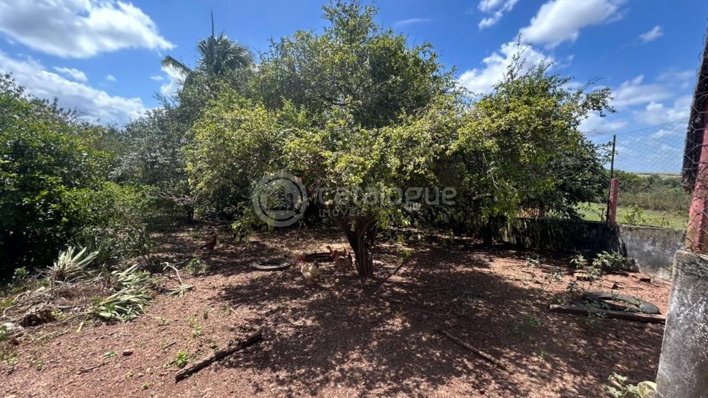 Chacara a venda completa e produtiva em Sao jose de mipibu