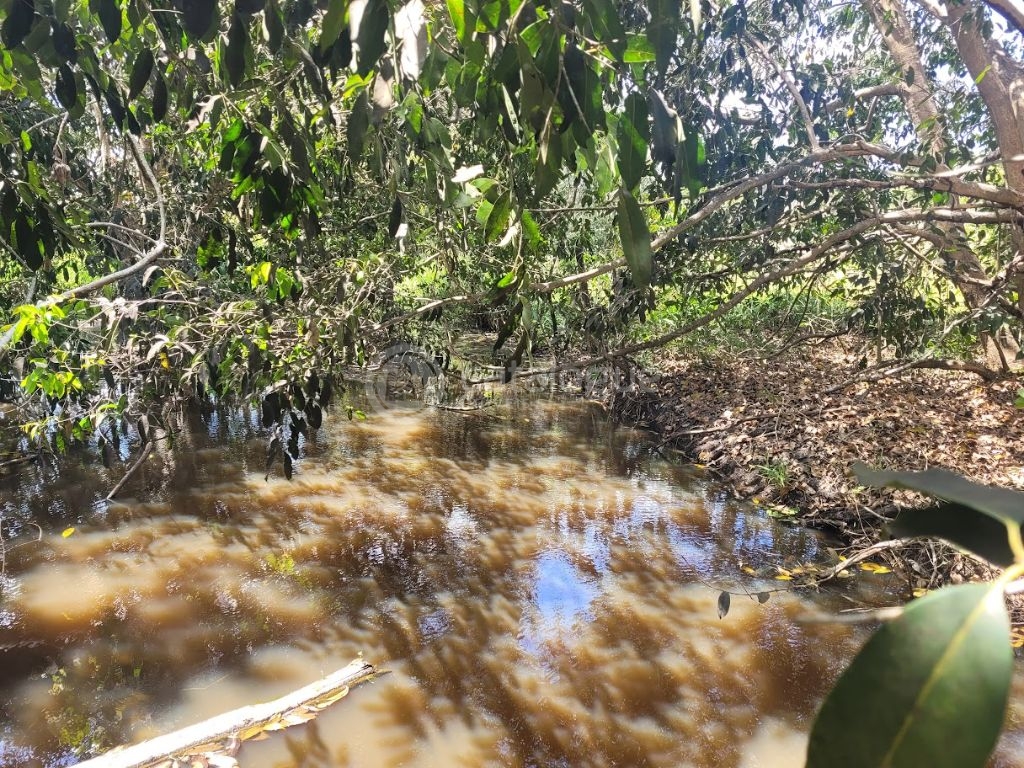 Chacara a venda completa e produtiva em Sao jose de mipibu