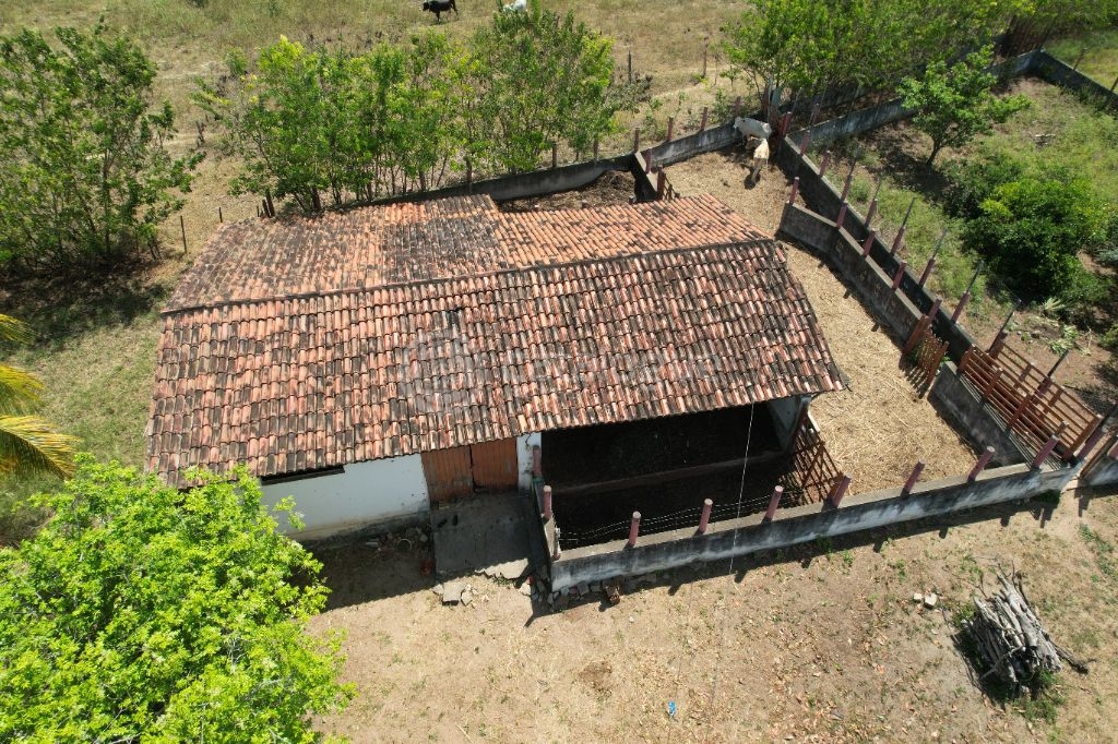 Chacara a venda completa e produtiva em Sao jose de mipibu