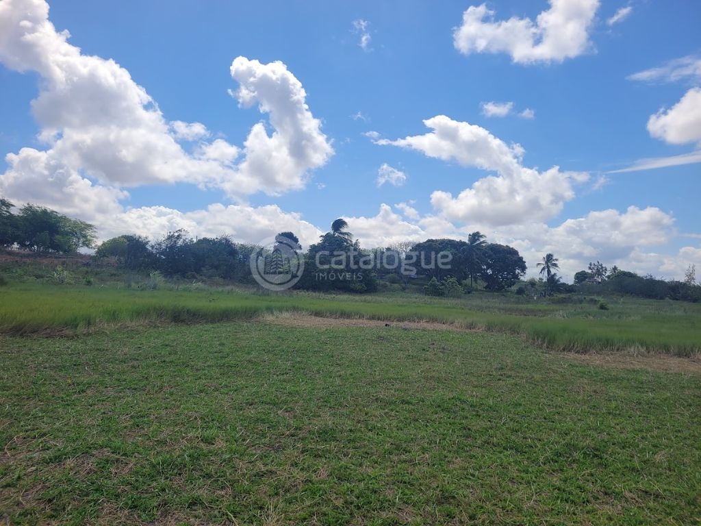 Chacara a venda completa e produtiva em Sao jose de mipibu