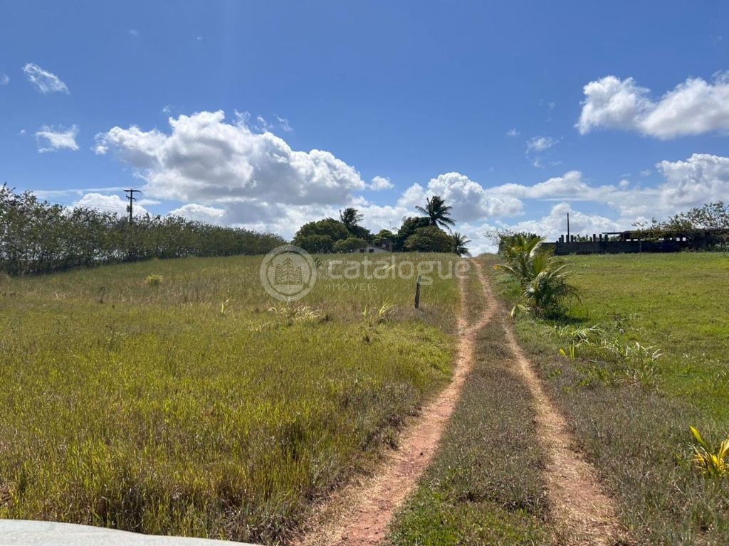 Chacara a venda completa e produtiva em sao jose de mipibu