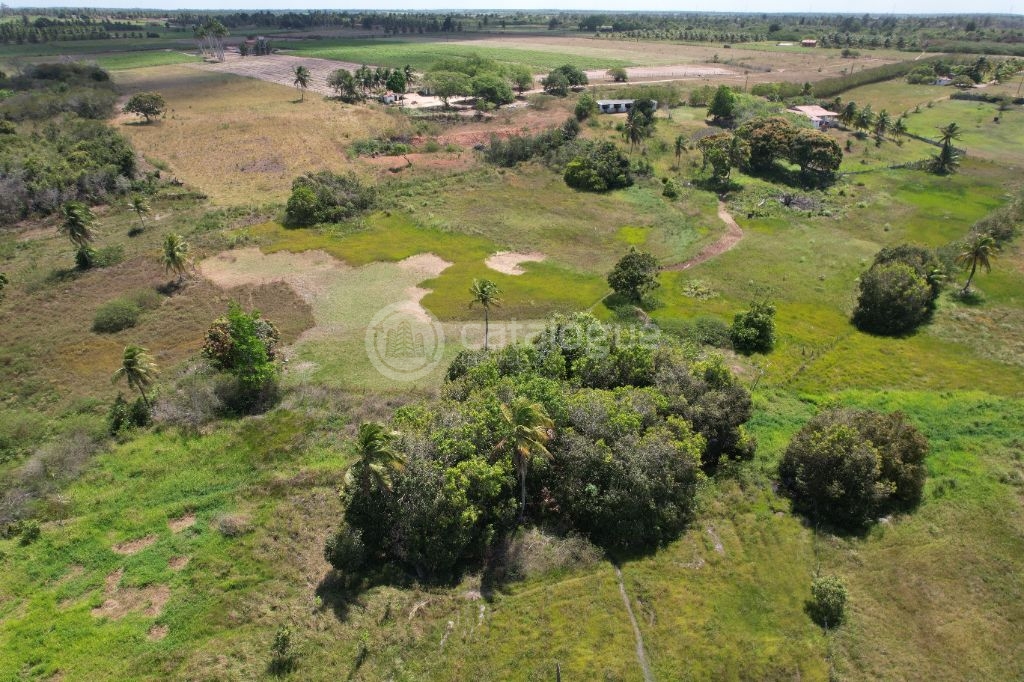 Chacara a venda completa e produtiva em Sao jose de mipibu