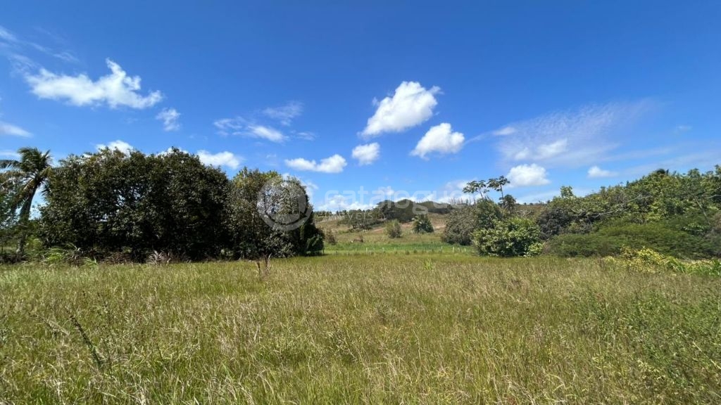 Chacara a venda completa e produtiva em Sao jose de mipibu