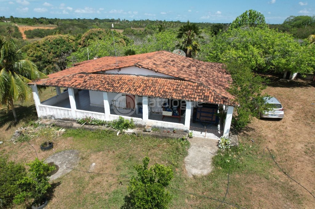 Chacara a venda completa e produtiva em sao jose de mipibu