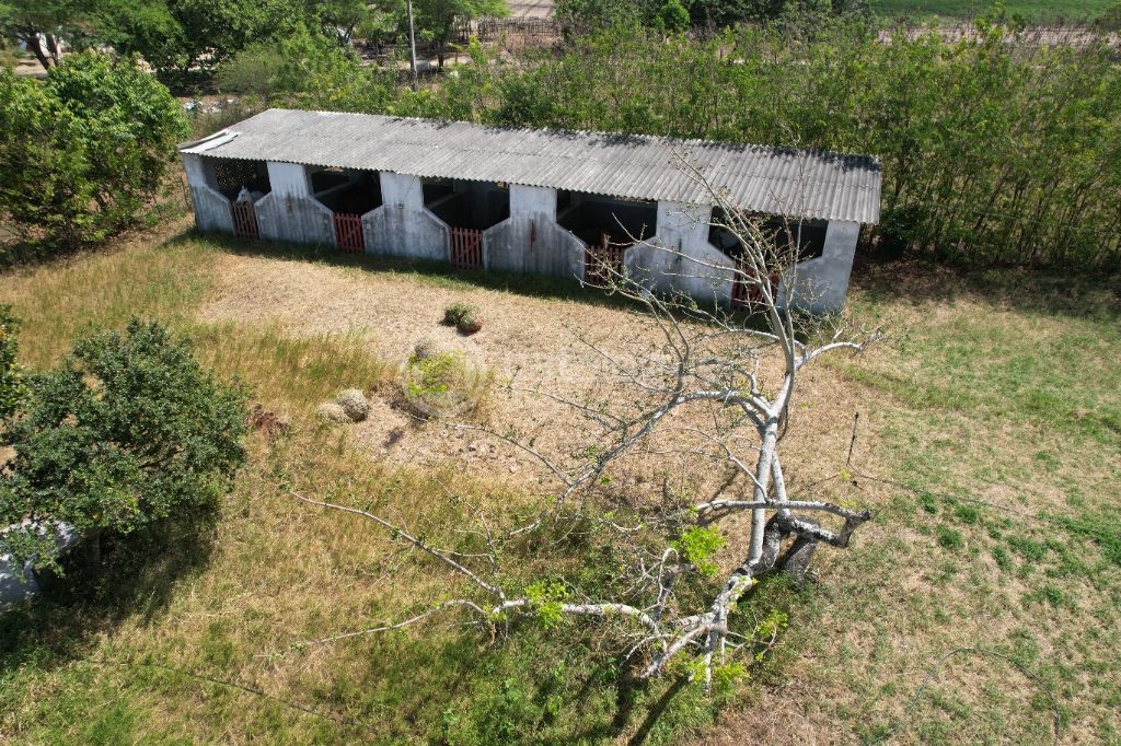 Chacara a venda completa e produtiva em Sao jose de mipibu