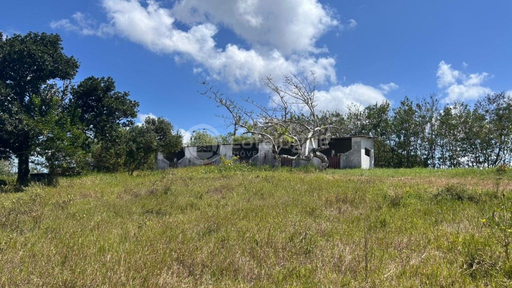 Chacara a venda completa e produtiva em Sao jose de mipibu