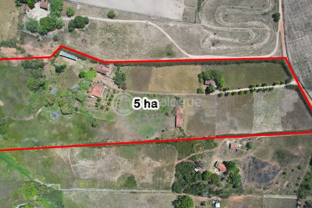 Chacara a venda completa e produtiva em sao jose de mipibu