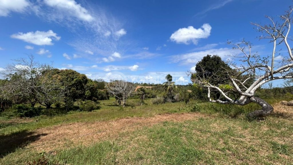Chacara a venda completa e produtiva em Sao jose de mipibu