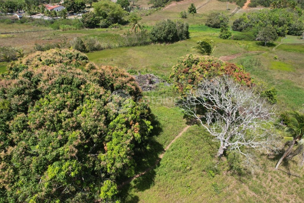 Chacara a venda completa e produtiva em Sao jose de mipibu