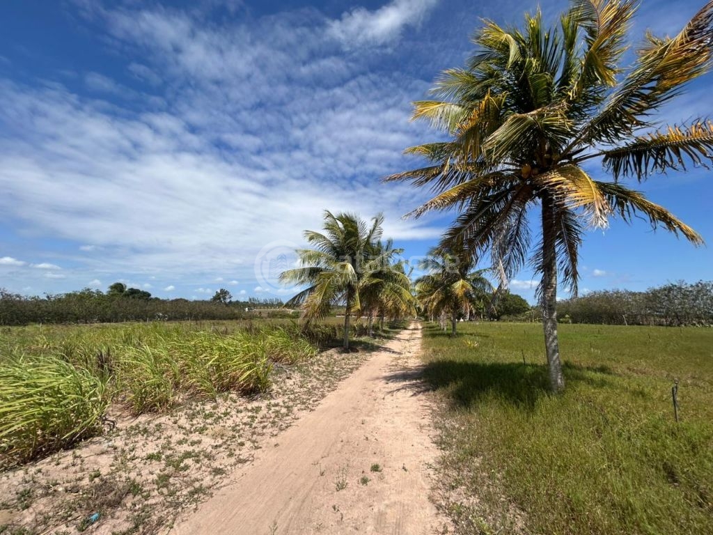 Chacara a venda completa e produtiva em sao jose de mipibu