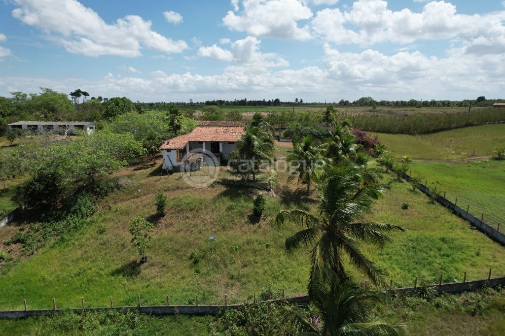 Chacara a venda completa e produtiva em sao jose de mipibu