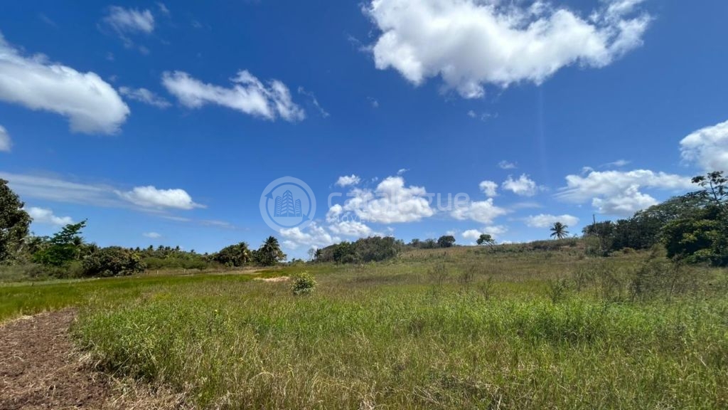 Chacara a venda completa e produtiva em Sao jose de mipibu