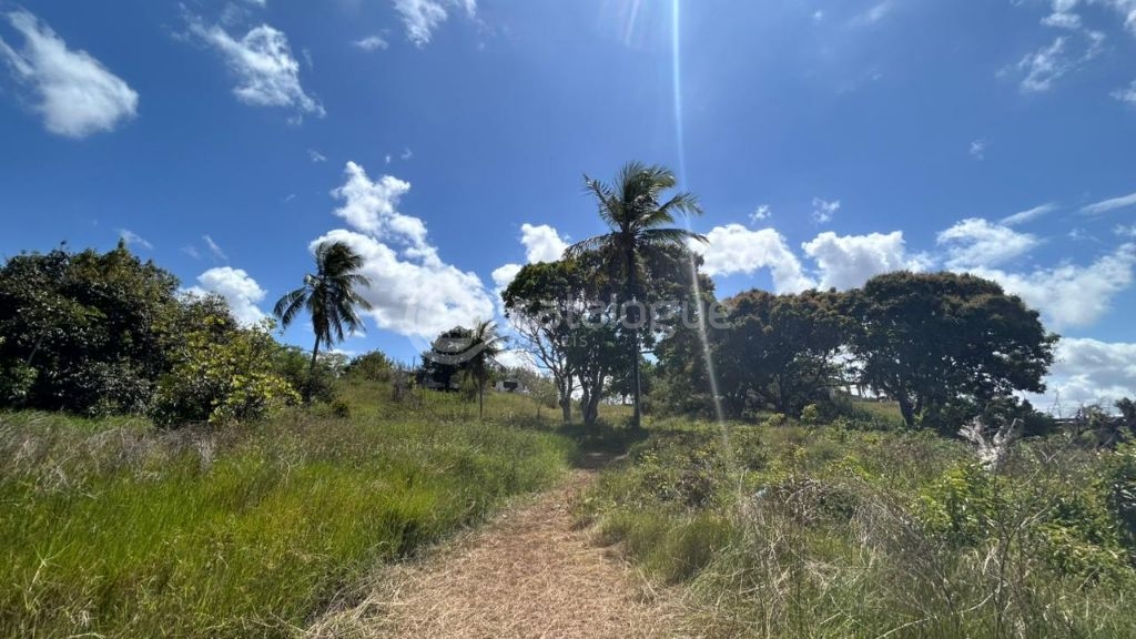 Chacara a venda completa e produtiva em Sao jose de mipibu