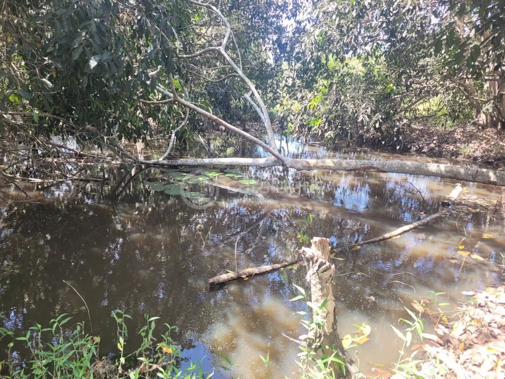 Chacara a venda completa e produtiva em Sao jose de mipibu