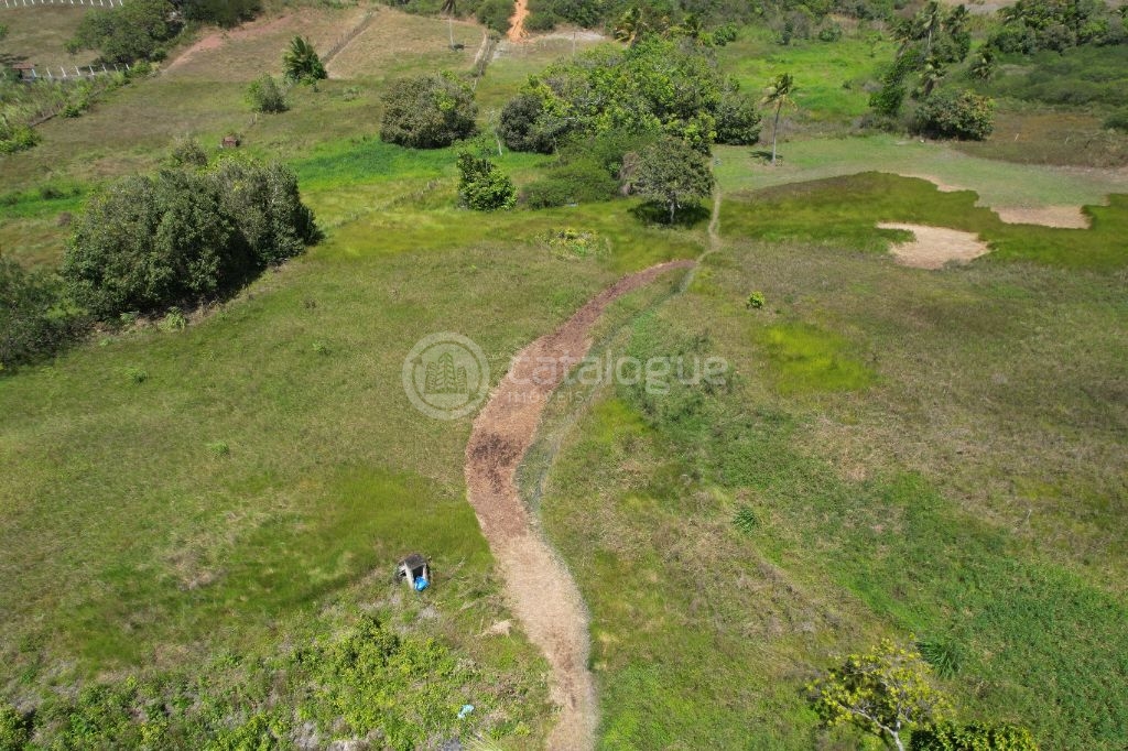 Chacara a venda completa e produtiva em Sao jose de mipibu