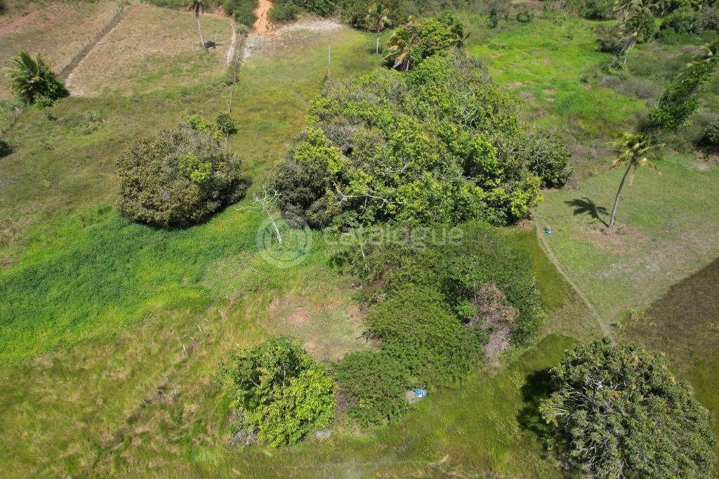 Chacara a venda completa e produtiva em Sao jose de mipibu