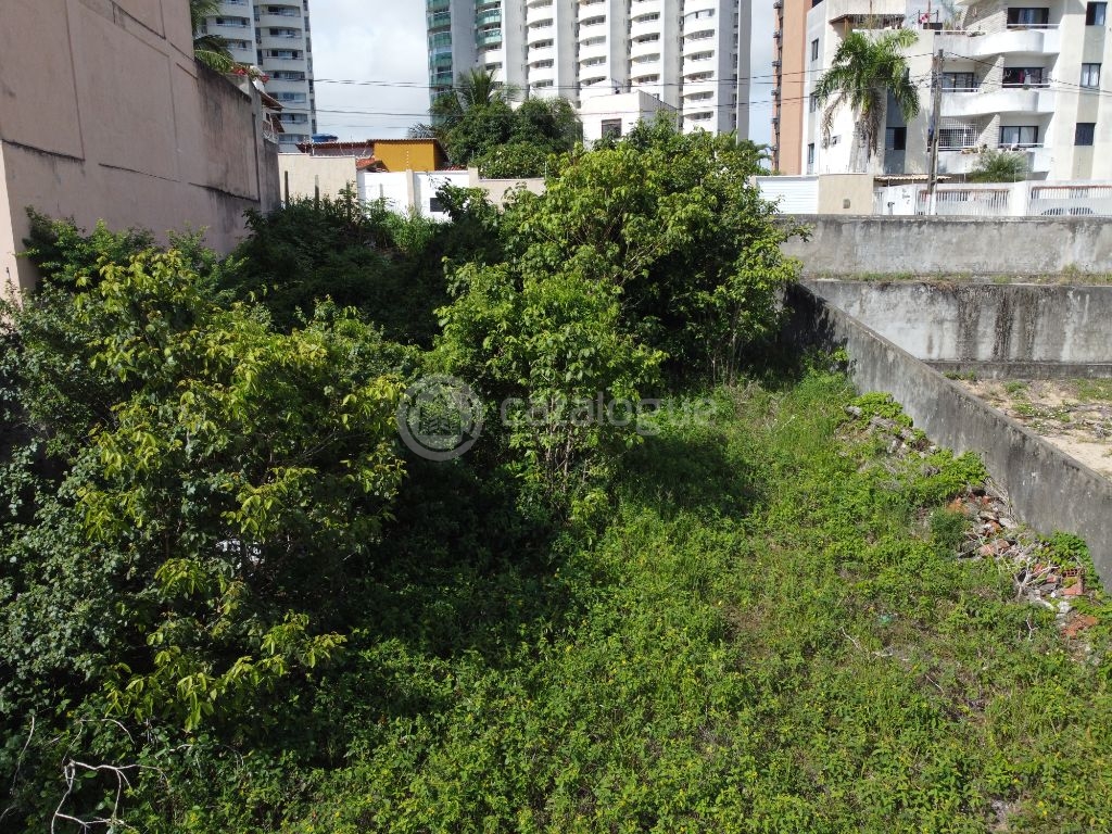 Terreno a venda em Ponta negra com 441 metros - bem localizado