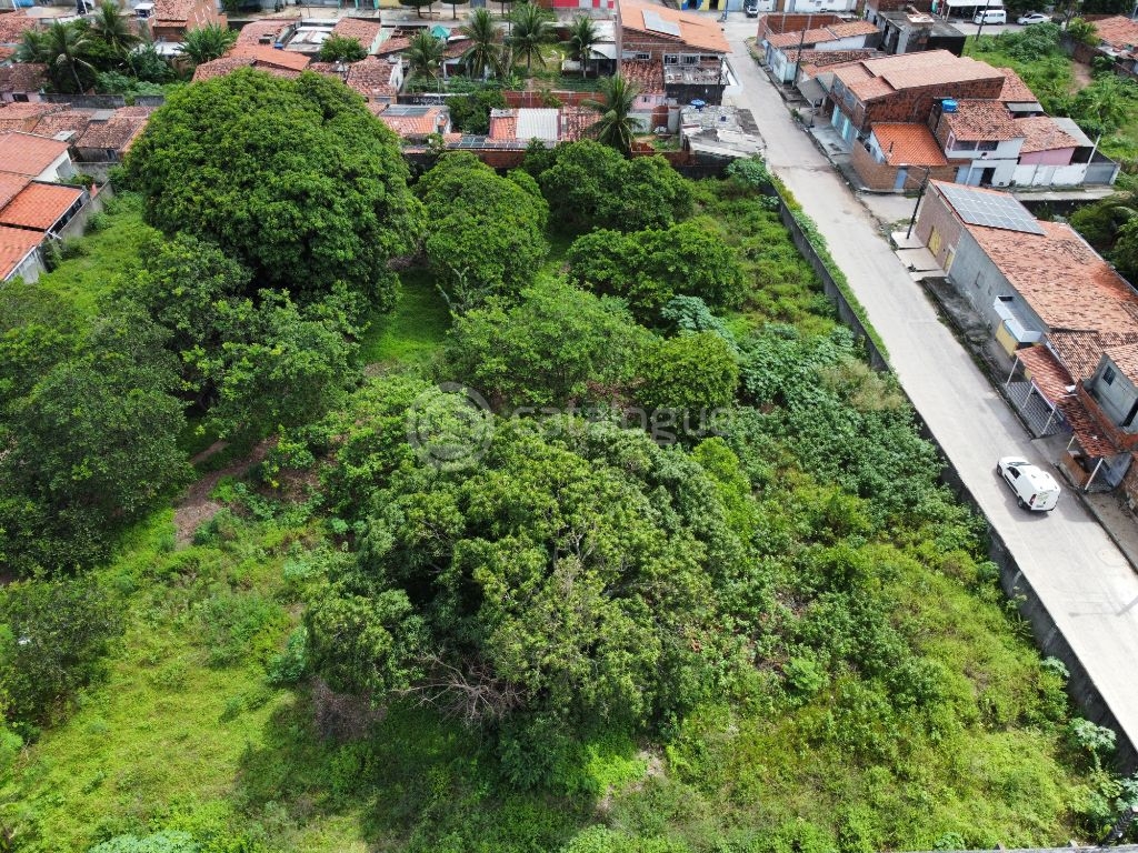 Terreno padrão à venda em nossa senhora da apresentação - 5.