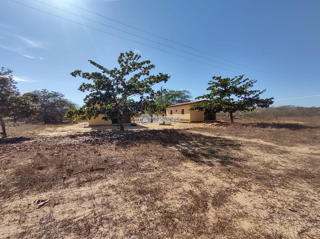 Fazenda em Caíçara do Norte 552 Ha