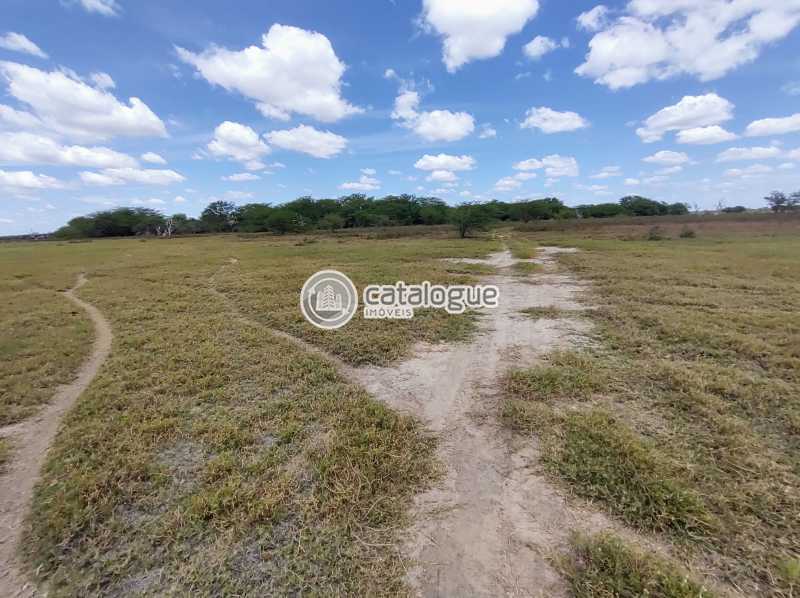 Fazenda em Caíçara do Norte 552 Ha
