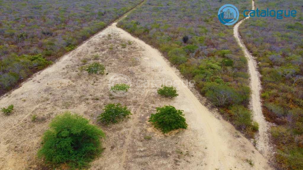 Fazenda em Caíçara do Norte 552 Ha